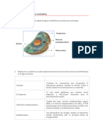 Unidad 1. Actividades Anatomifisiologia y Patologias Basicas