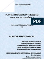 Plantas Tóxicas de Interesse em Medicina Veterinária II 1
