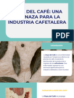 Roya Del Cafe Una Amenaza para La Industria Cafetalera