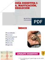 Fisiología Digestiva Generalidades y Conceptos Saliva, Masticación, Deglución