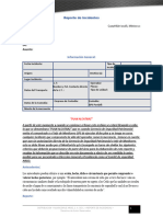 Reporte de Incidentes CRITERIOS