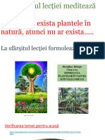 Rolul Plantelor