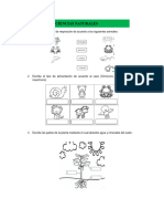 Examen de Ciencias y Mi Entidad