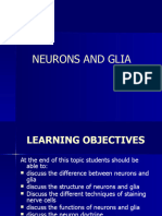 Topic 3 (Neurons and Glia March 2017)