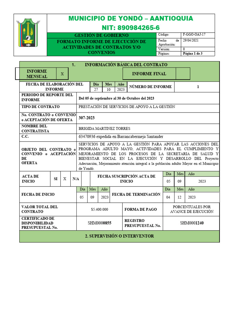 Formato Informe de Actividades | PDF