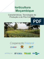 Horticultura em Mocambique PDF