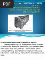 Download Sifat Makroskopis Kayu Dan Sifat Fisik Kayu by Eko CRietz SN68450982 doc pdf