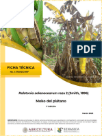 Ficha Técnica de Moko Del Platano