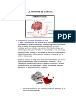 Actividad 2 - U4 - La Intimidad de La Celula - Aparato de Golgi