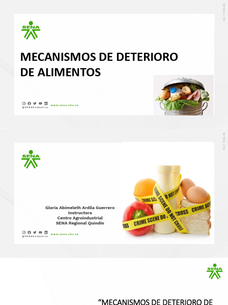 Deterioro de Los Alimentos | PDF | Papel