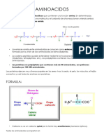 Aminoacidos