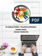 Planeaciones Primero 3t m206