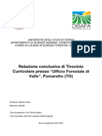 Relazione Conclusiva Tirocinio - Fabio Galliano