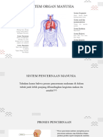 Sistem Organ Manusia