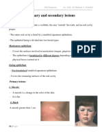 7primary & Secondary Lesions