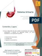 Sistema Urinario 2T3