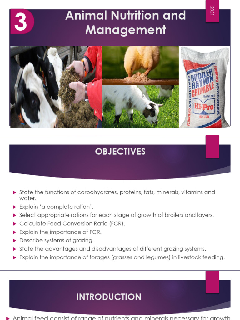 3.0 Animal Nutrition and Management PDF Nutrition Diet & Nutrition