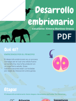 Desarrollo Embrionario