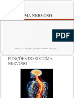 1Â° Aula SISTEMA NERVOSO 3