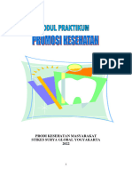 Modul Prakt. Promkes