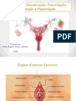 Ovulação Menstruação, Fecundação, Nidação e Placentação.