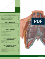 Tórax - Pasos de Anatomía (Sin Editar)