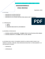 Evaluacion Modulo V