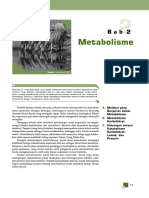 Bio KD 3.2 Metabolisme