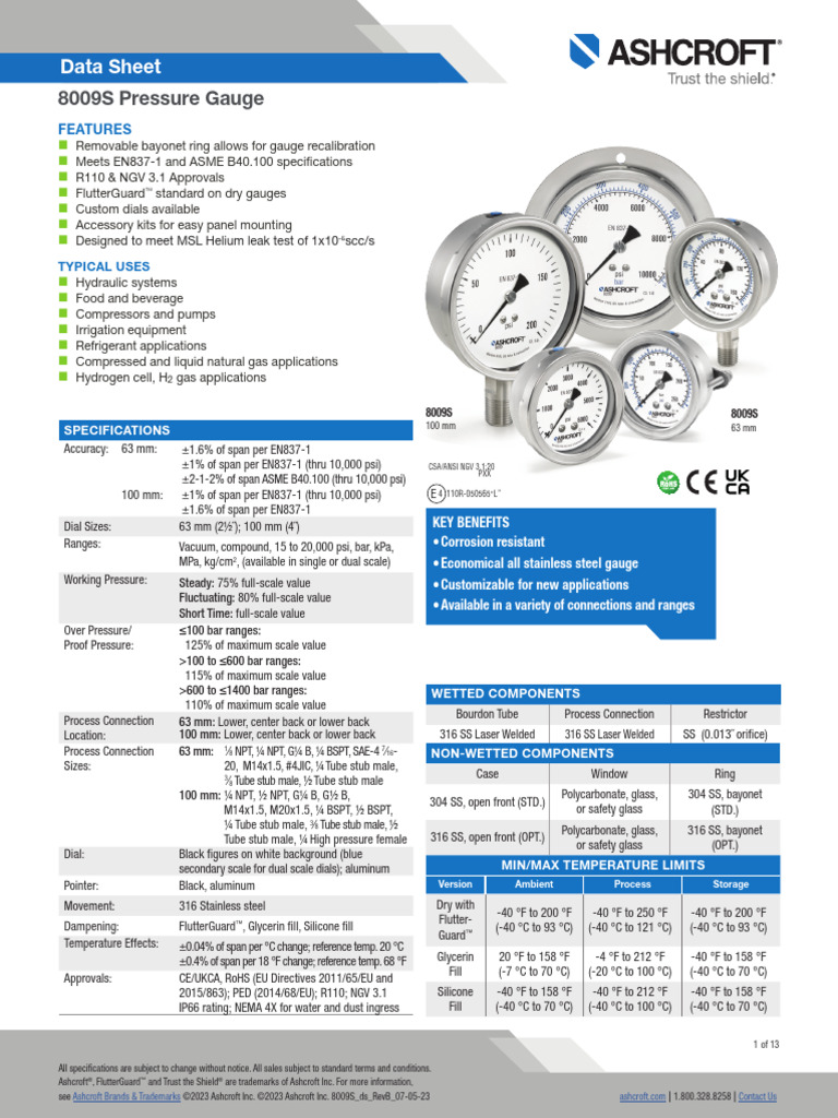 Datasheet Pressure Gauge 8009s | PDF | Pipe (Fluid Conveyance ...