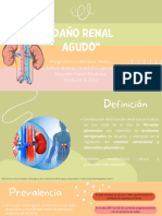 Daño Renal Agudo