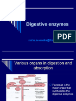 digestive