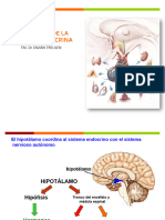 Clase 4 Evaluación de La Función Endocrina