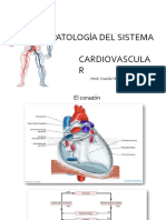 Clase 7 Patologia Cardiovascular