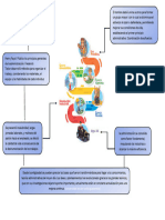 Aporte Fundamentos