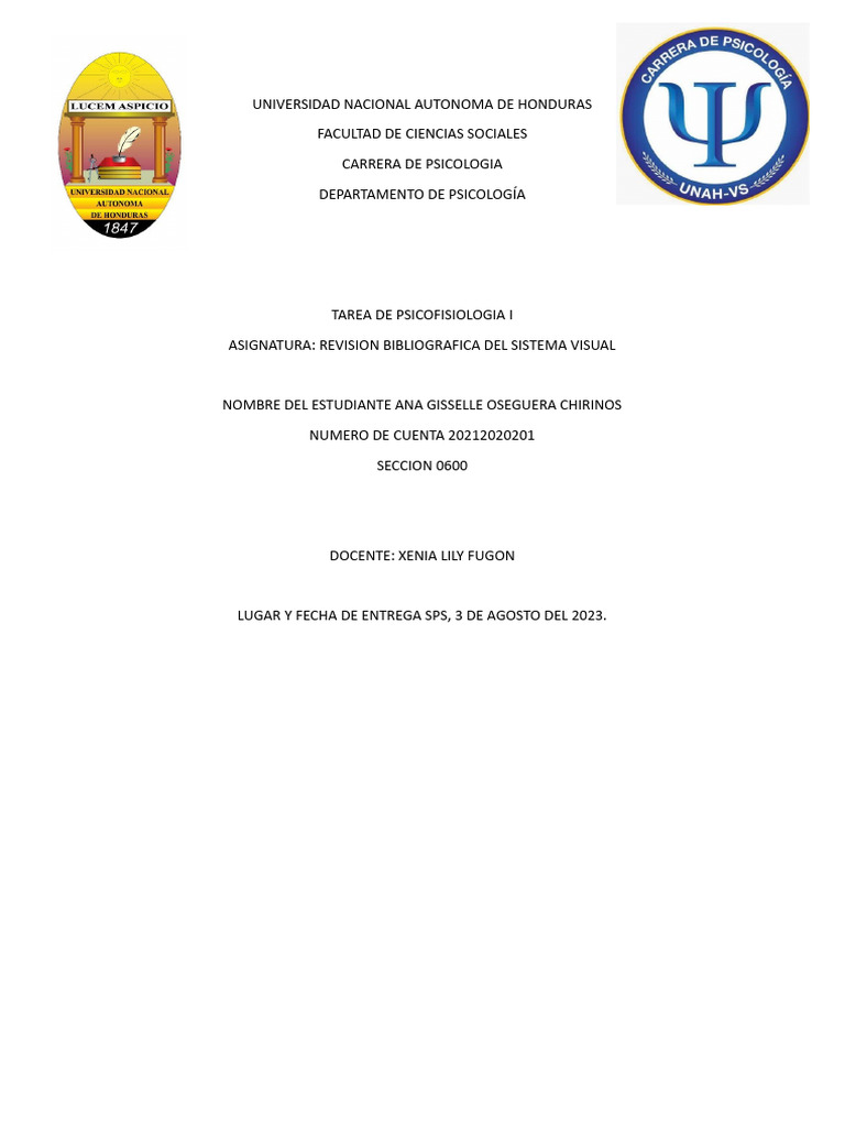 Sistema Visual Pdf Ojo Humano Percepción Visual