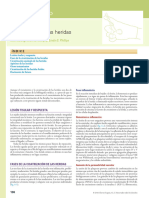 Proceso de Cicatrización