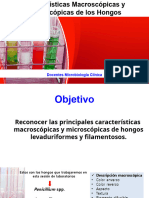 Laboratorio Micología