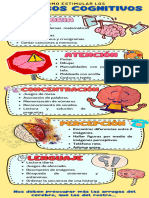 Infografía Procesos Cognitivos