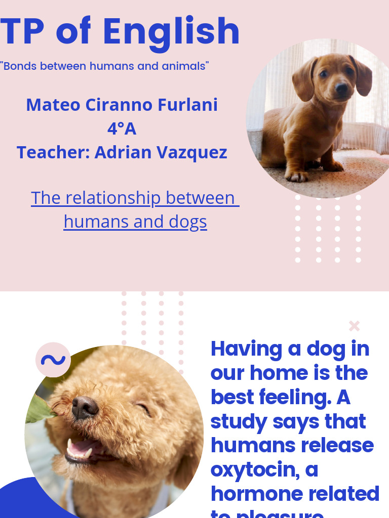TP of English | PDF