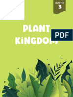 Plant Kingdom