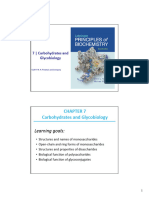 Repaso Bioquimica