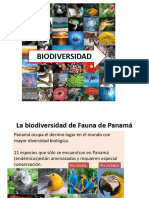 BIODIVERSIDAD Fauna Panameña 21