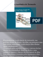 Estrutura Anatômica Do Tornozelo