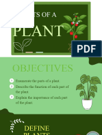 Parts of The Plants