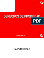 Derechos de Propiedad Sesion 1 y 2