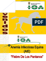 Anemia Infecciosa Equina