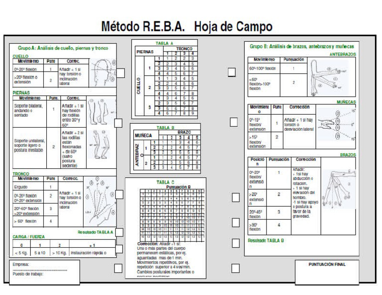 Hoja de Campo Metodo REBA | PDF