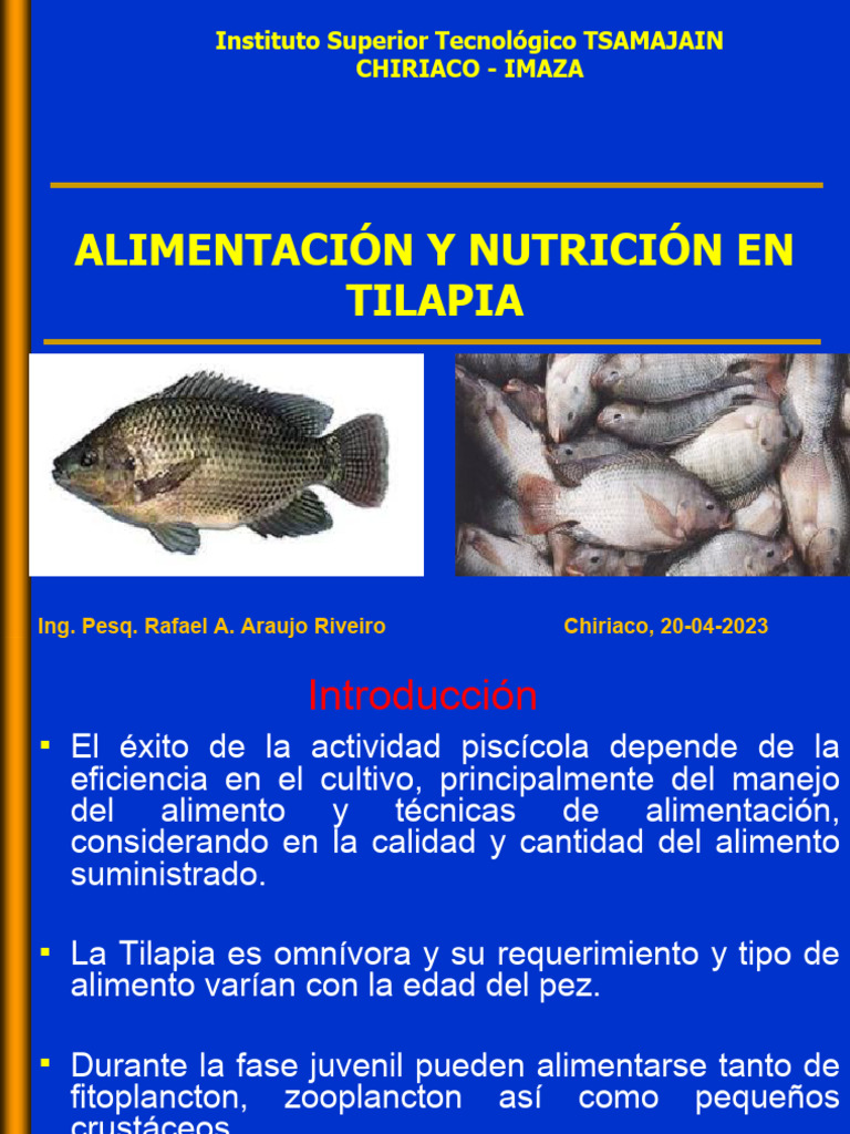 CREO SU PROPIO INVERNADERO DE LECHUGAS HIDROPÓNICAS EN SANTIAGO  MAMALHUAZUCA, OZUMBA Reporteros en Movimiento, image size:768x1024