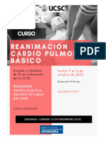 Temario Curso RCP 2023