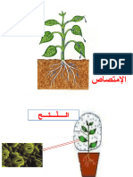 درس 4 العلاقة بين النَتح و الإمتصاص